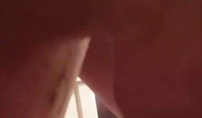 Sweet-Curvy-78: Ich gehe auf die Knie und genieße es