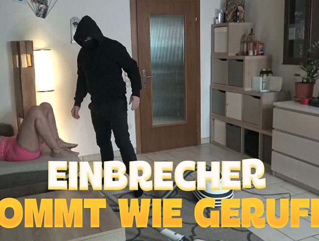 Der Einbrecher kam genau zur richtigen Zeit [Mila-Hase]