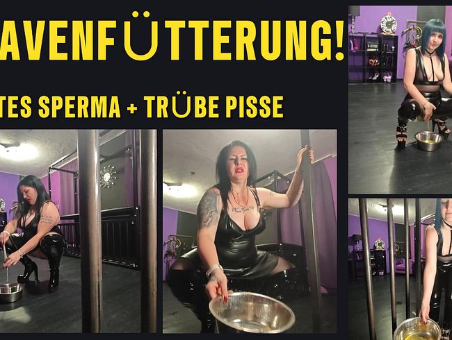 [LADY LENA] Deine Herrin füllt deinen Napf