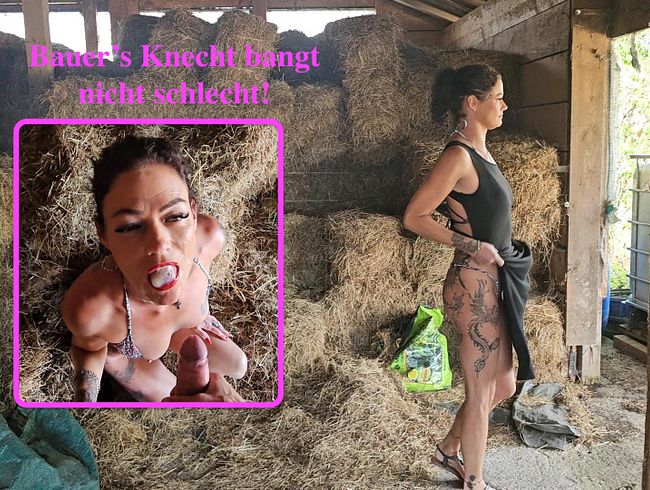 Sydney_Schmid lässt sich vom Bauern knattern