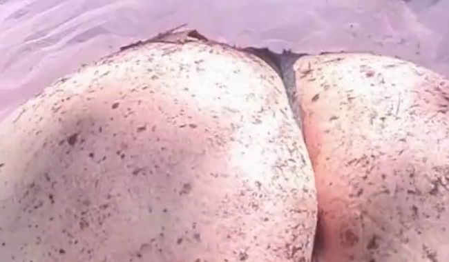 Mania_Pigmilk zeigt ihren Wald im Arsch
