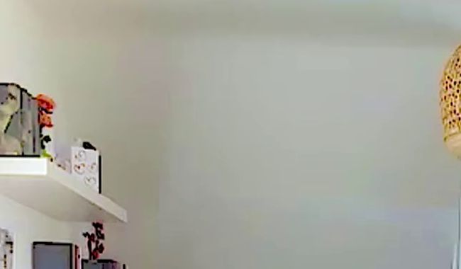 Hasi-69 strippt sexy für dich