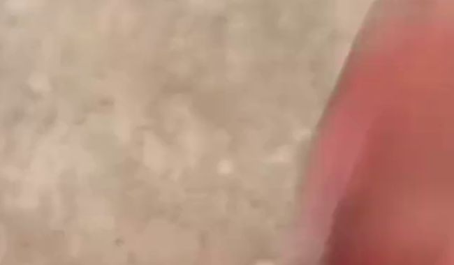BootyLiz - Cremige Muschi für dich... gefällt dir das?