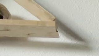 LeaLuvXXX dreht ein spezielles Wunsch Video