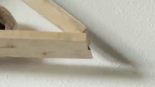 LeaLuvXXX dreht ein spezielles Wunsch Video