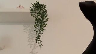 Lu_Lux steht auf deftigen Analsex
