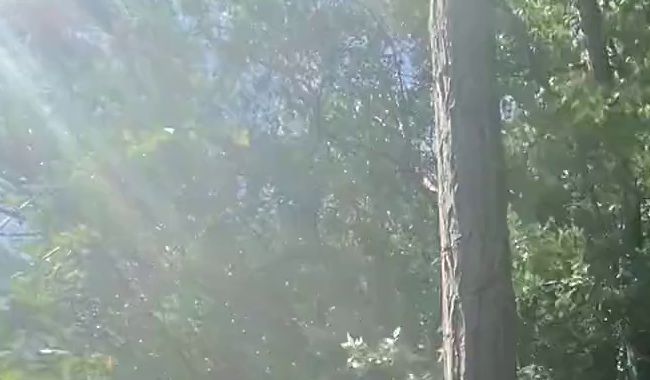 Sue-Nova - Pissen beim Handstand