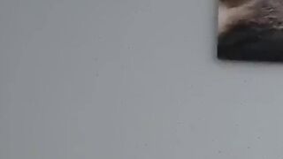 Julia-Stein fingert sich die Pussy doggy