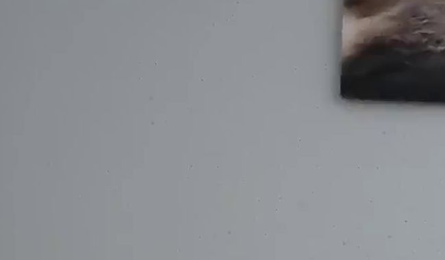 Julia-Stein fingert sich die Pussy doggy