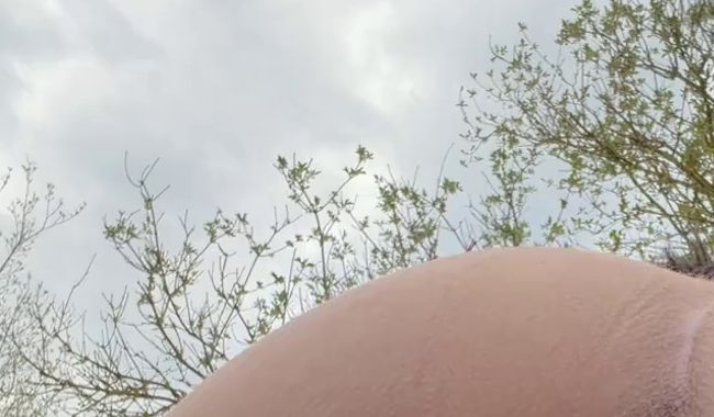 SpicyJenny @ Doggy NS Clip