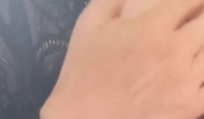 Monika27 streichelt sich selbst die Titten