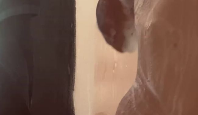 luVelour: Ich nehm dich mit unter die Dusche