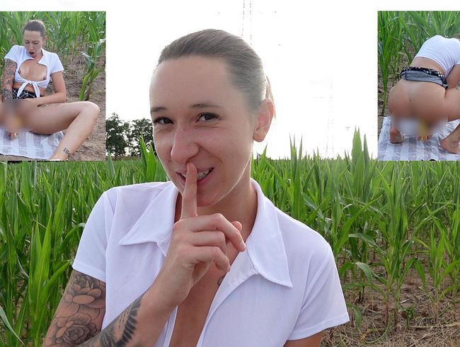 Honey Meli verbringt ihren Feierabend im Mais Feld